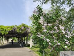 中島公園