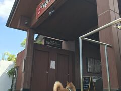 とれとれの湯の入口で中を伺います。涼しそうな館内に入りたい…と言わんばかりにグイグイ引っ張って行こうとしますが、抱っこで連れ戻します。