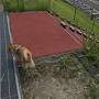 【犬とおでかけ】湯快リゾートプレミアム白浜御苑