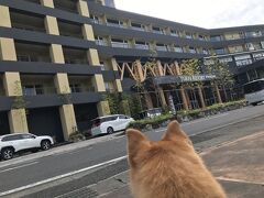 お、この宿ね。