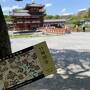 ひとり旅～京都　青もみじ～②宇治