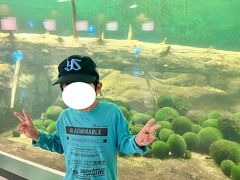 マリモ展示観察センター