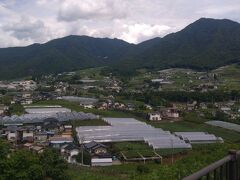 　バスを使って、勝沼ぶどう郷に向かいました。
　甲州市内の中でも、ぶどう栽培の盛んな勝沼町は見渡す限り一面ぶどう畑の景色が広がっています。甲州市の中でもぶどう栽培が盛んな勝沼町は、扇状地上や山麓斜面に立地している土地がほとんどです。
　ぶどう畑をみて、ぶどうが食べたくなりました!