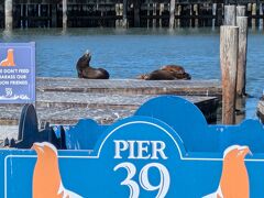 ピア39(39番桟橋)。
アシカが日向ぼっこしていることで有名です。

1990年のカリフォルニア大地震後から上陸するようになったそうです。
当初はピア入居者とアシカが安全に共存できなかったため、ピア39は海洋哺乳類センターに助言を求め、このようなアシカ休息用のフロートを設置することで、現在は観光名所として共存することができるようになったとのこと（by 現地の説明看板）。

私が行った時は数頭しかいませんでした。
事前に見た写真ではフロートが満員になる位でしたが。
アシカがここに沢山来るのは晩夏から晩春にかけてで、繁殖期は南に渡ってしまい、夏に来るのは北に移動し始めた一部の雄だそうです。