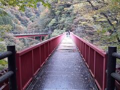 宇奈月に戻り、トロッコ電車沿いの遊歩道を散策。