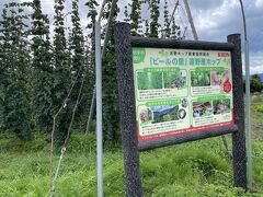 キリンのホップ園

伝承園から常堅寺に向かう道沿いにホップ畑があった
