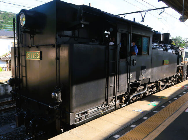 【専用】8803 機関車/8750 / 8751 / 8752 客車 展示車両を紹介します。 | 栃木県の子連れに最適なミュージアム
