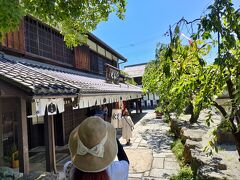 参道のたねやさん