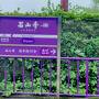紫式部と近江牛の旅