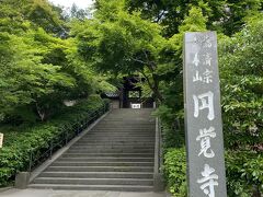 円覚寺もいったことないかな～鎌倉はめぐる場所がたくさんあるから何回来てもいいですね。今回はやっとこさで名月院ブルー、紫陽花を堪能できました。