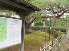 材木町を後にして、すぐ北にある芦城公園に向かいます。