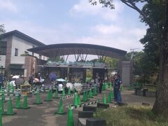 まずは上野の駅から公園を抜けて不忍池へ。
公園口から出ちゃったのでちょっと歩きました。
本当は不忍口から出たほうがよかったですね。
途中、動物園の入り口を通りましたが、すでに行列！！