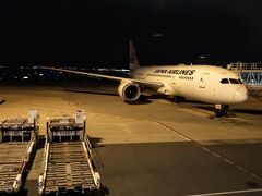 今回もJALのエコノミー。往きも帰りもガラガラでした。