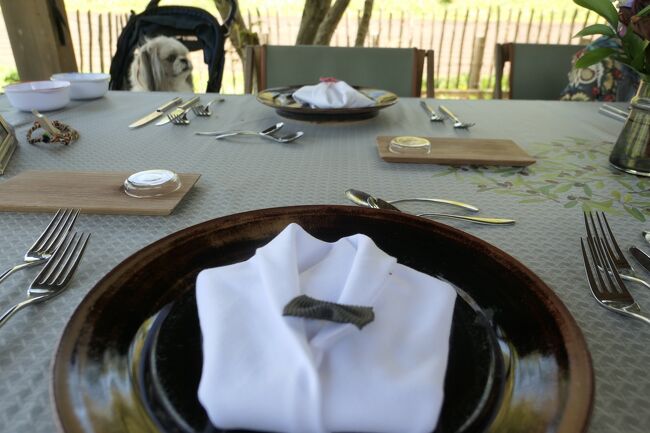 イタリアンリストランテ「ロンブラ」優雅なランチ♪