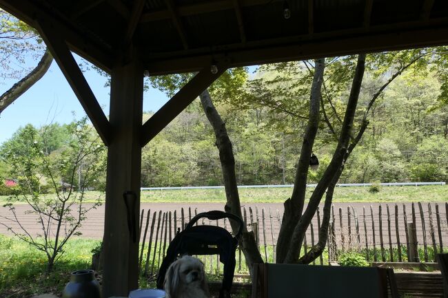 イタリアンリストランテ「ロンブラ」優雅なランチ♪