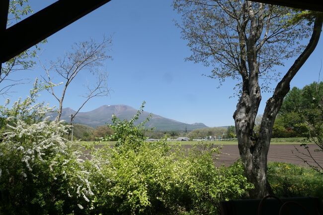 イタリアンリストランテ「ロンブラ」優雅なランチ♪