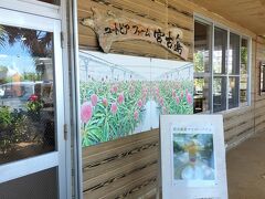 最終日にはレンタカー返却前に、最後のマンゴーを食べにユートピアファーム宮古島へ。