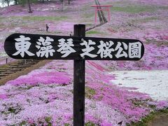 ひがしもこと芝桜まつり