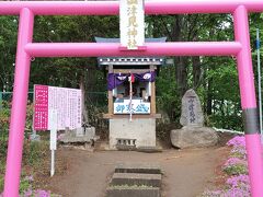 芝桜花街道