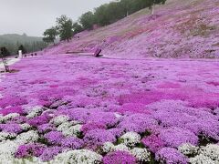 ひがしもこと芝桜まつり