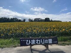 ひまわりの里