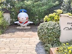 暑すぎて誰も見向きしてなかった。
そらやん、日焼け止め塗らなあかんな。笑
