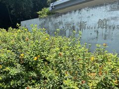地中美術館、すごく良かった。
特にモネの展示が。

ベネッセハウスなども見る予定が
思わず地中美術館に長居してしまったので
次回来訪の楽しみにして次の目的地へ。