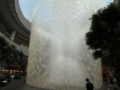 写真はソンファバクテーのある地下2階から見たジュエルの噴水です。下の部分だけでもすごい迫力。
バクテーをどうしても食べてみたくて、でも息子にはハードル高そうで、結局最終日、個人行動をさせてもらいソンファバクテーで1人ランチしました。（そしてまたもや写真を撮り忘れるという）
12時前についた時には結構な行列で30分待ちでした。結局表示通りきっちり30分待ち（その間に配られるQRコードの画面から注文をすます）、Pork Ribs Soupと白米、ミネラルウォーターを頼みました（Taxなど込みで15SGD）。割と想像通りの味で、胡椒が効いてパンチのあるスープが美味しかったー！隣のテーブルのグループには海外の方でしたが息子と同じくらいの年齢の子たちがいて、注文を工夫すれば次回は家族で食べれるかもしれないと思いました。
ちなみに夫と息子はマクドナルドを食べたそう。（マクドナルドは日本と同じクオリティだったと！）

この後また第2ターミナルに戻り、シンガポール航空で羽田まで飛びました。
これにて5日間のシンガポール旅行終了です。思いっきり遊んで楽しかったー！シンガポールのことが好きになりました！
行けてないところ、食べれていないものがたくさんあるので、また近いうちに訪れたいです。