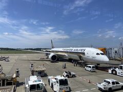 成田空港から出発。
シンガポール航空利用で、NRT11:00→DPS17:20。
大人２子供２で279040円。
長男最後の小児運賃…悲。