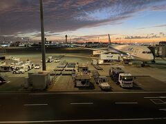 日が昇ってきた羽田空港。
エキストリーム出社は辛かったですが、なんとか乗り切りました。

今回の旅行ではオオタニさんが見られなかったのは残念ではありましたが、実質2日間で動ける量としてはなかなか充実してたのでは、と思います。

アメリカは国立公園もまだまだ制覇していないし、州立公園、ナショナルモニュメントレベルでも行きたいところが多いので、寿命が足りません。