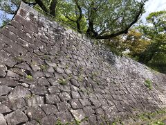 盛岡城跡公園(岩手公園)