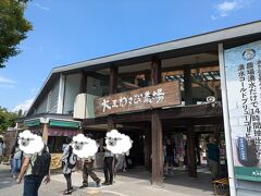大王わさび農場。
思ったより、混雑しています。
人気なのですね。

目当ては、水車！
