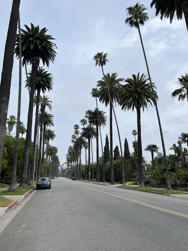 カリフォルニアっぽい！！