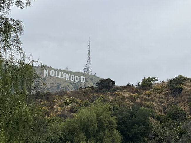 Hollywoodサインが見える公園へ。<br />細い道をうねうね上る。結構車も人もおおかったけど<br />行けてよかった！