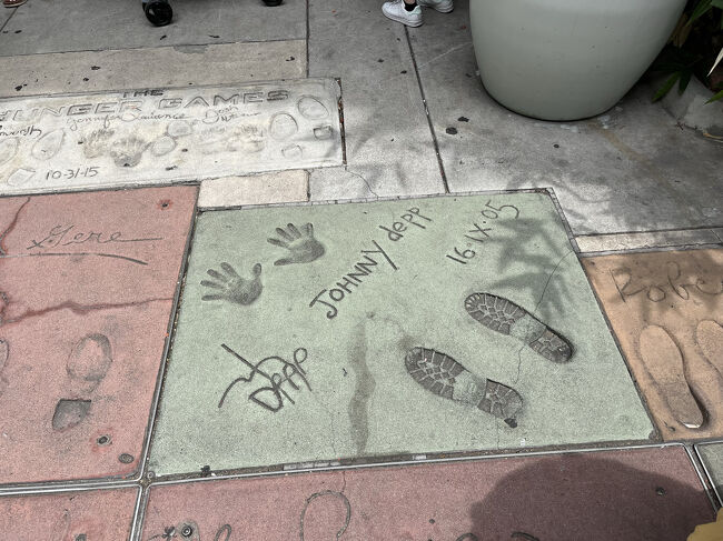 ジョニーデップだ