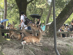奈良公園