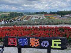 次に四季彩の丘へ。
その前のスポットである新栄の丘展望公園と比較すると商業根性が強めではあります。