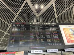 前日に世界的システムトラブルがあり、羽田も成田も大混乱で心配しましたが、何の影響もありませんでした。