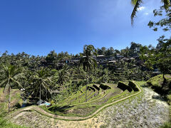 棚田に到着。棚田が好きで日本でも色々行ってます。でもこんなに観光地化されてる棚田は初めてですね～～～