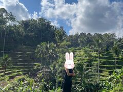 最初の目的地はテガラランライステラス。
バリの車事情はなかなかすごい。街中の車線はあってないようなもの。割り込み、車間ギリギリ。バイクは、何人乗ってるの！というかんじ。
ベトナムもそうだったけど、アジアはどこも驚かされる。
ここまで来るのに、かなりの渋滞。はじめ、１時間半とか言ってたのに、２時間は過ぎていた。
到着して、すぐトイレに行きたくなった。ガイドのアルバートさんが車を停めている間に、トイレをお店の人に借りることにした。
トイレに行ってみると、まさにローカルスタイル！
当然トイレットペーパーなし！おまけに真っ暗！
手酌で洗う勇気なく、我慢。。。
その後もずっとトイレに苦しめられる。
なんだかんだトイレットペーパーなしは避けられてきてたので、油断してた。
次回は絶対、トイレットペーパーは鞄に入れようと誓った。