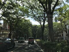 レンタカーで市内へ向かい、定禅寺通に入って三越あたり。杜の都らしい眺め（娘が撮影してます）。