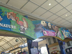 バスにてアドベンチャーワールドへ。
この日は夕方までアドベンチャーワールドで過ごしました！