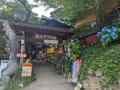 宮城蔵王キツネ村