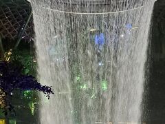 世界最長の室内滝「レイン・ボーテックス」か、、、
写真で見るのと、迫力が全然違う。

吹き抜けの天井から勢いよく流れ落ちる滝、、、、
 
