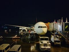 OZ105便は31番ゲートなので比較的近いのでターミナル内をふらふらしてからゲートに向かうとソウルから106便、HL7739が到着します。
遅れて到着したので大急ぎで折り返し準備にかかります。