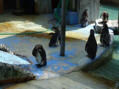 高岡古城公園動物園