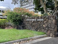 まだ行ったことのないところに行こう！
ということで、フォスター植物園へ