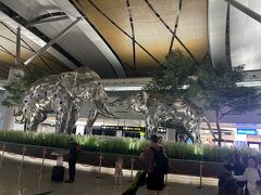 スワンナプーム国際空港 (BKK)