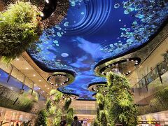 シンガポール チャンギ国際空港 (SIN)