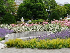 大通公園 バラ園